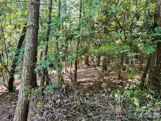 Land for sale in Benton Hills, Transylvania County