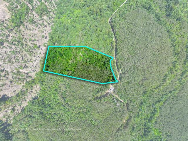 Land for sale in Cherokee, Alabama
