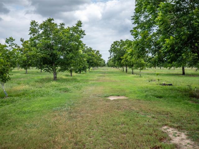 Land for sale in Premont, Texas