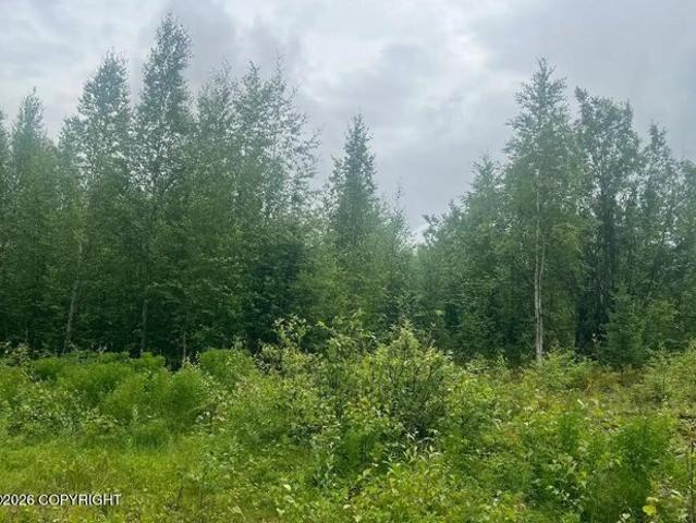 Land for sale in Holt, Missouri