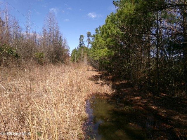 Land for sale in Red Springs, North Carolina