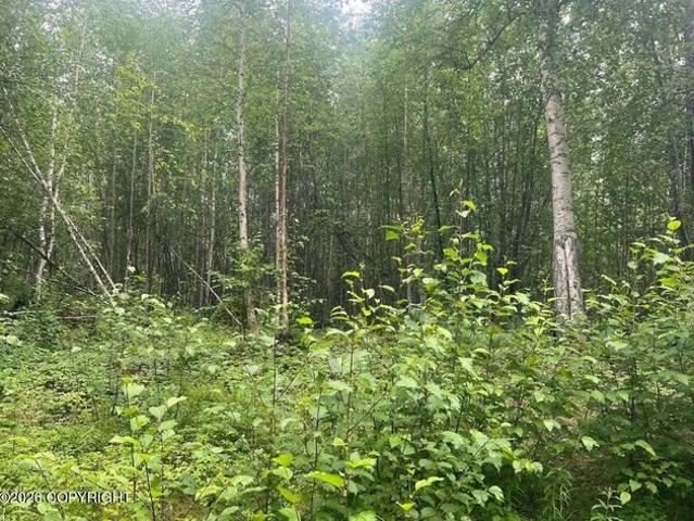 Land for sale in Holt, Missouri