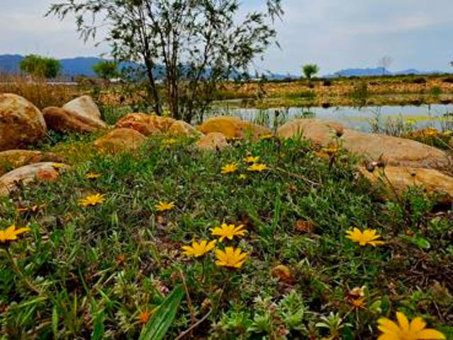 Land for sale in Durbanville, Western Cape