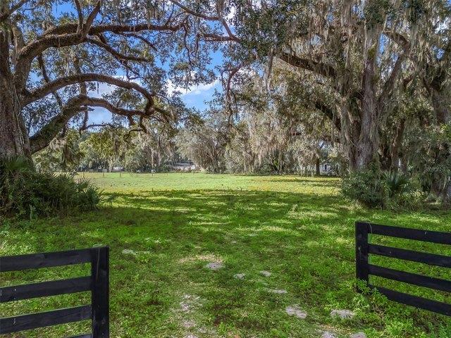 Land for sale in Bushnell, Florida