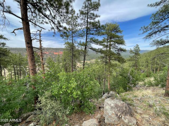Land for sale in Gila, Arizona
