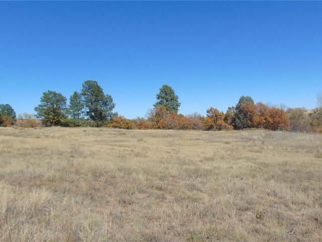 Land for sale in Sedalia, Douglas County