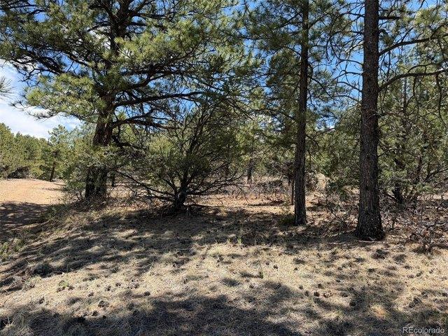Land for sale in Custer, Colorado