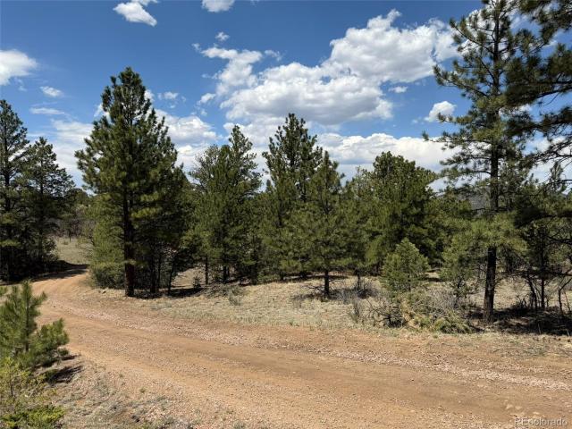 Land for sale in Custer, Colorado