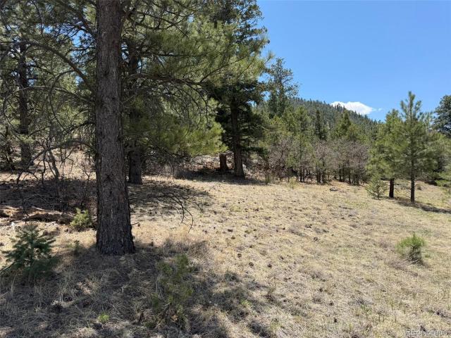 Land for sale in Westcliffe, Custer County
