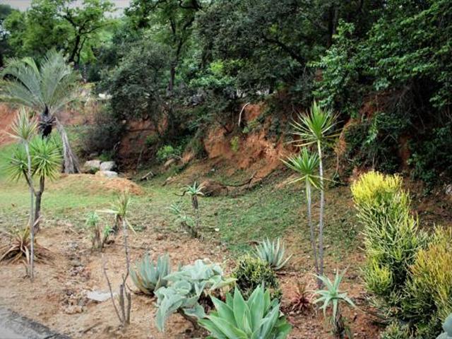 Land for sale in Ehlanzeni, Mpumalanga