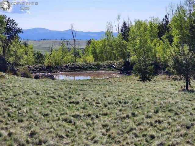 Land for sale in Canon City