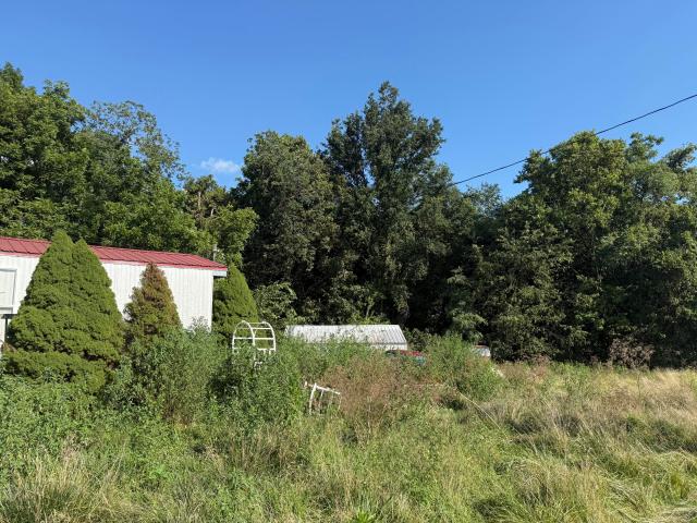 Land for sale in Germantown, Mason County