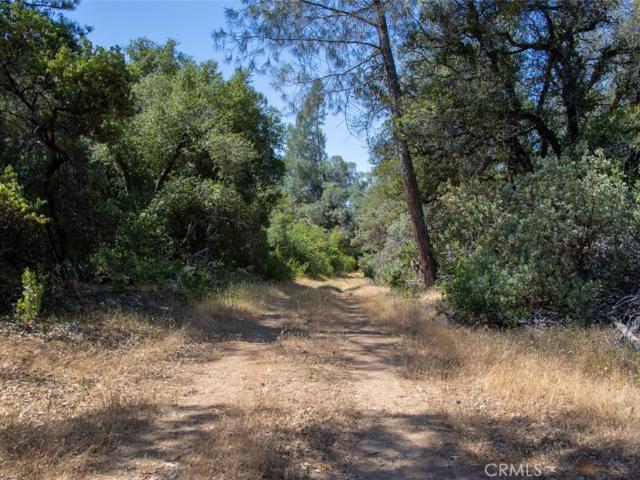 Land for sale in Oakhurst, Madera County