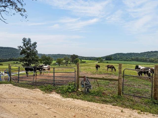 Land for sale in Middle Tennessee, Tennessee