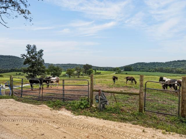 Land for sale in Middle Tennessee, Tennessee