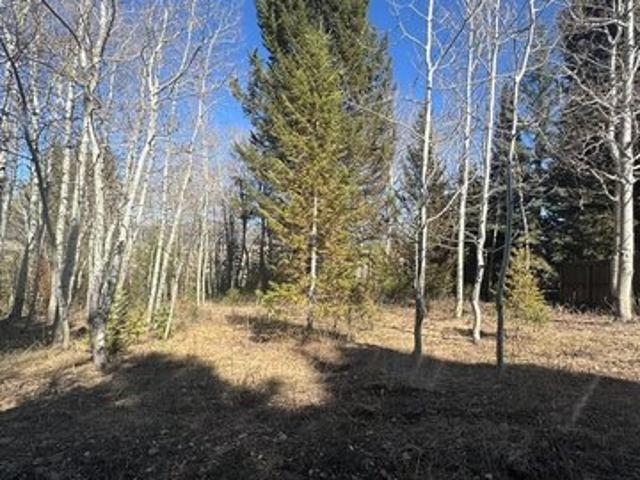 Land for sale in Island Park, Idaho
