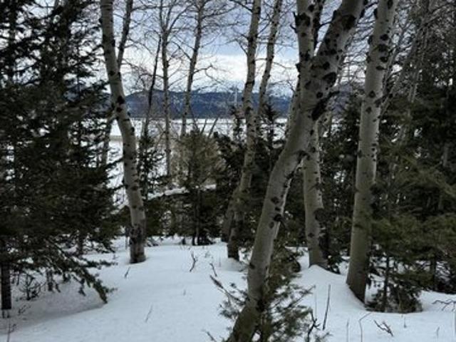 Land for sale in Island Park, Idaho