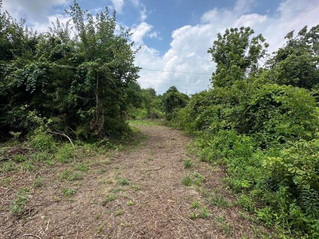 Land for sale in Trimble, Kentucky