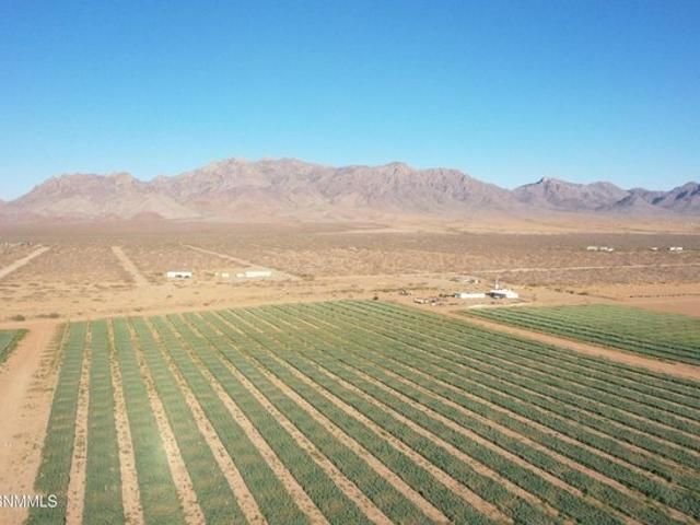 Farm for sale in Luna, New Mexico