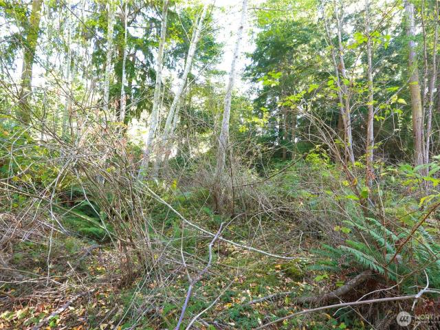 Land for sale in Coupeville, Island County