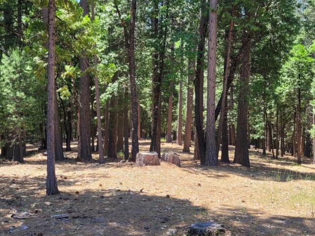 Land for sale in California