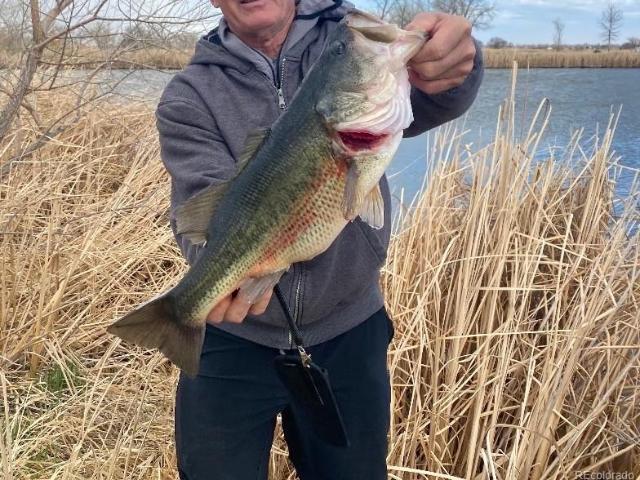 Land for sale in Longmont, Colorado