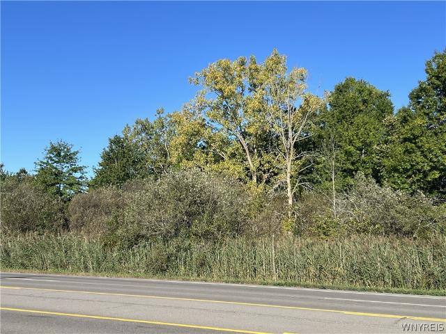 Land for sale in Town of Amherst, Erie County