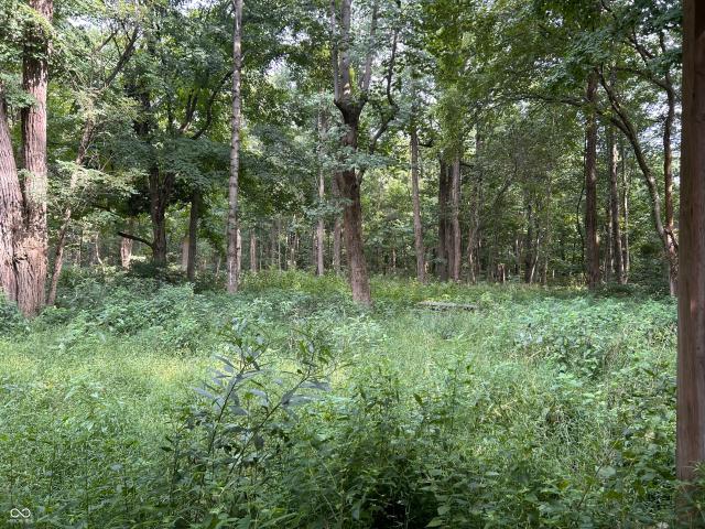 Land for sale in Bloomingdale, Indiana