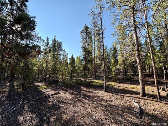 Land for sale in Twin Lakes, Colorado