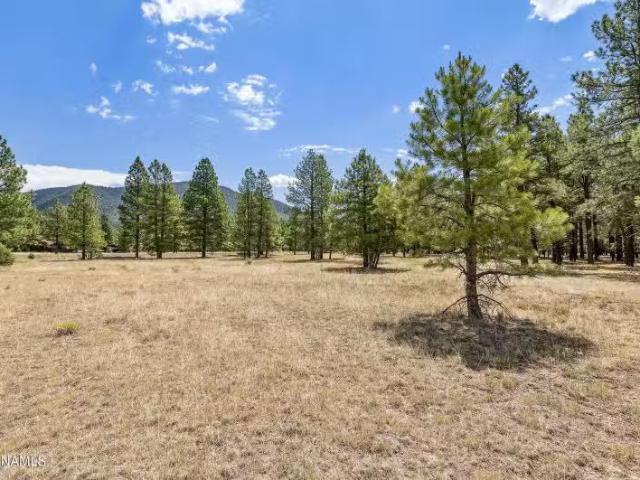 House for sale in Flagstaff