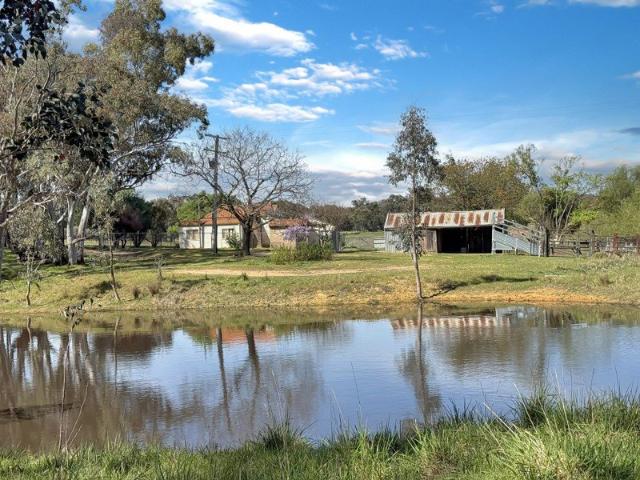House for sale in Young, Hilltops Council