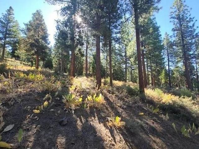 Land for sale in Portola, California