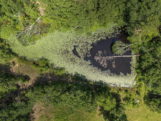 Land for sale in Edgefield, South Carolina