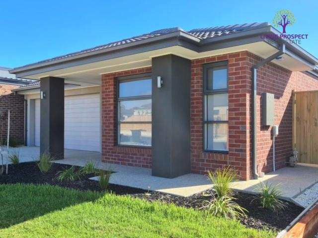 House for rent in Geelong, Victoria
