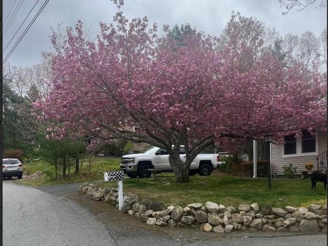 House for sale in Cataumet, Massachusetts
