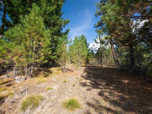 Land for sale in Alpha, Cascade