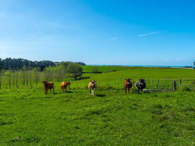 Property for sale in Timaru, Canterbury