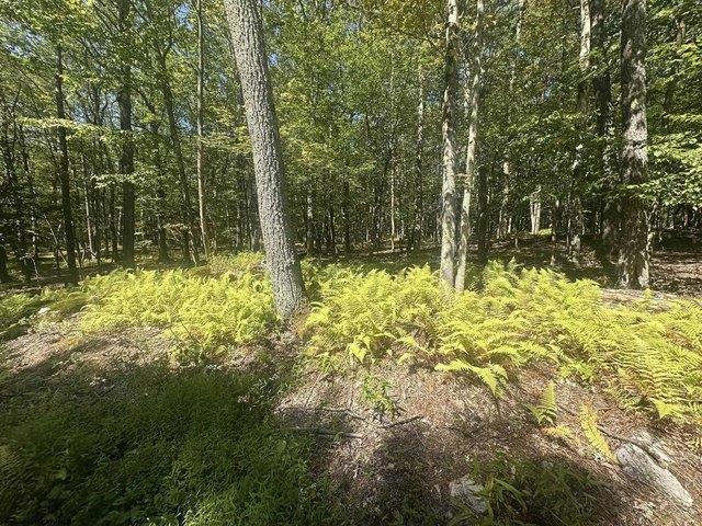 Land for sale in Terra Alta, West Virginia