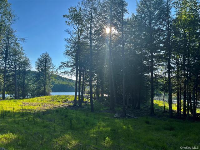 Land for sale in Claryville, New York