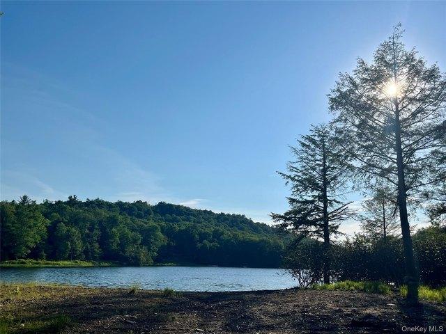 Land for sale in Claryville, New York