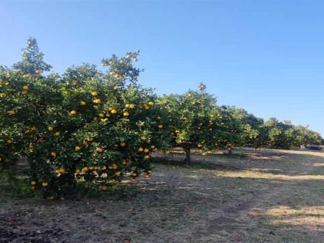 Farm for sale in Vhembe, Limpopo