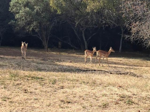 Farm for sale in Bloemfontein, Free State