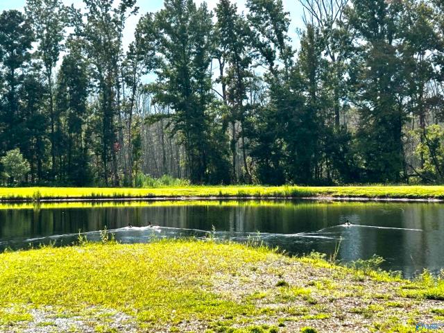 Land for sale in Elkmont, Alabama