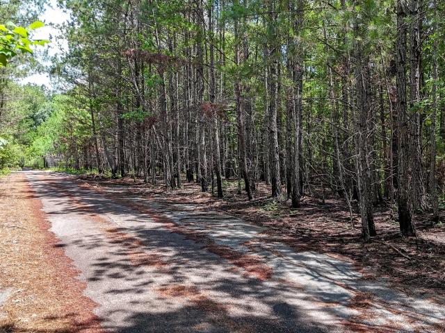 Land for sale in Rockmart, Georgia