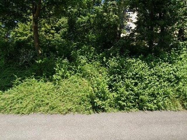 Apartment mieten in Opfikon, Zürich