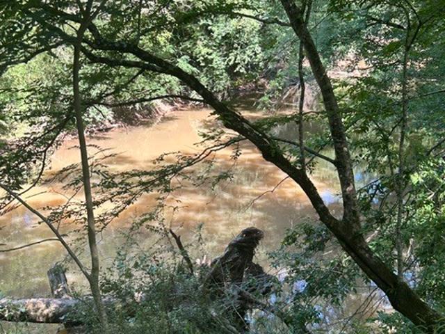 Land for sale in Warrenton, Georgia