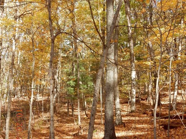 Land for sale in Virginia
