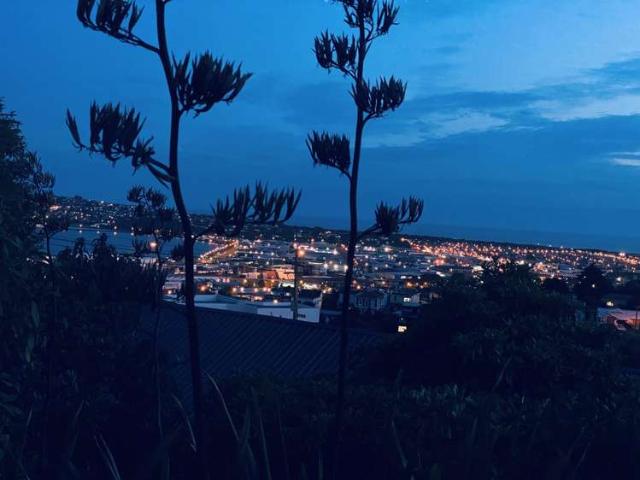 House for sale in Otakou