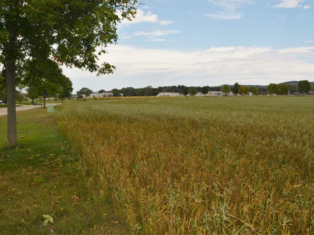 Land for sale in Spring Green, Wisconsin