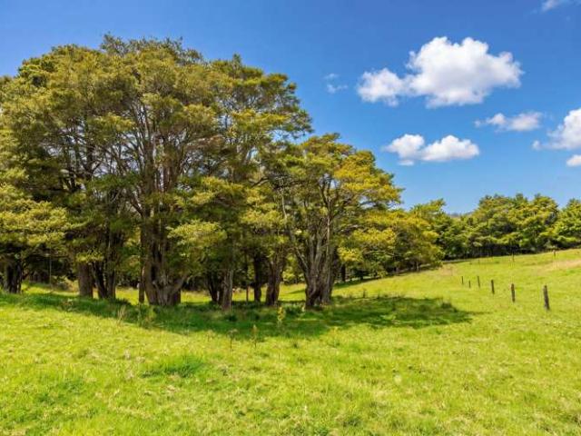 Property for sale in Wellsford